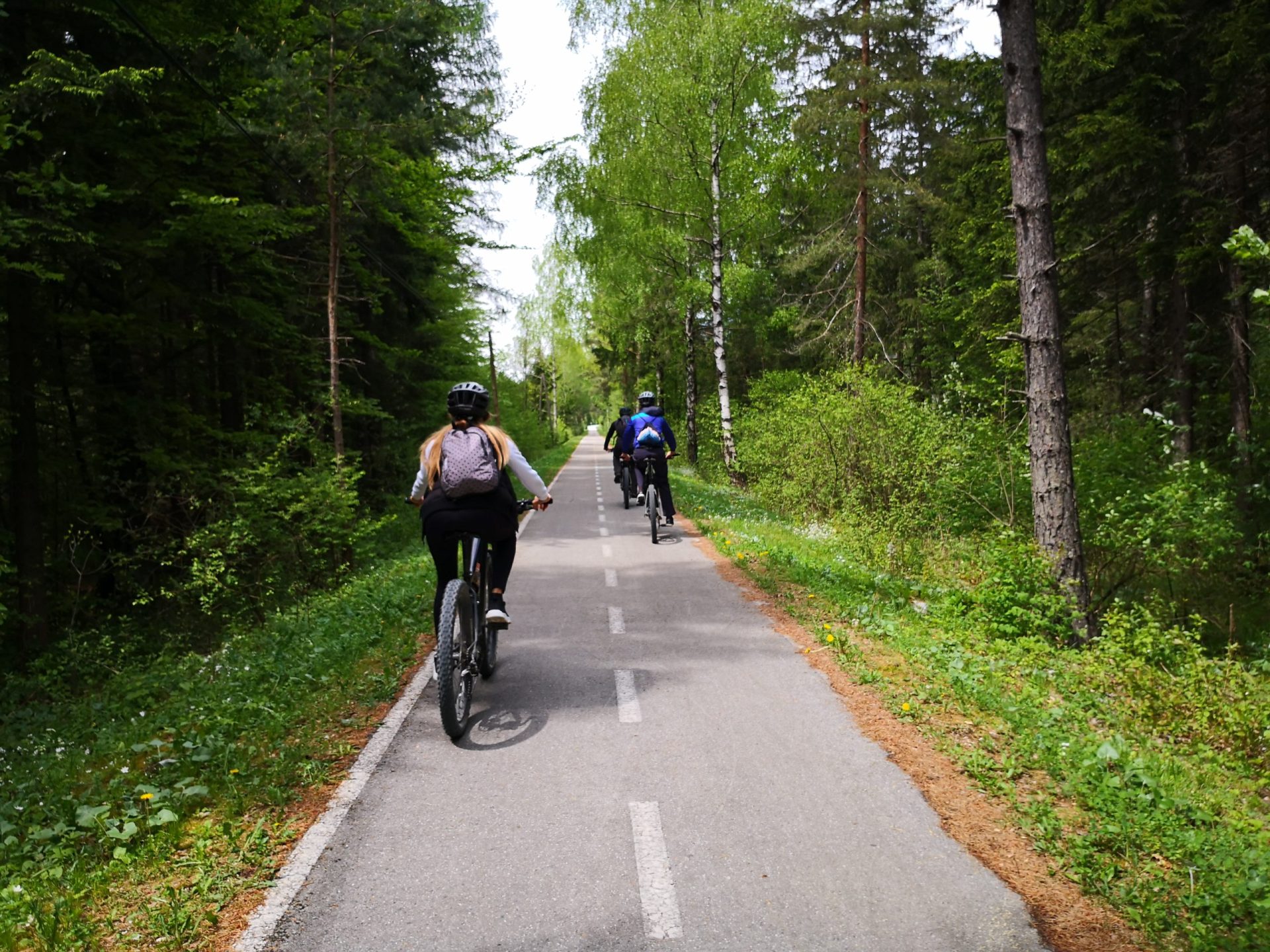 Cycling path Kranjska Gora