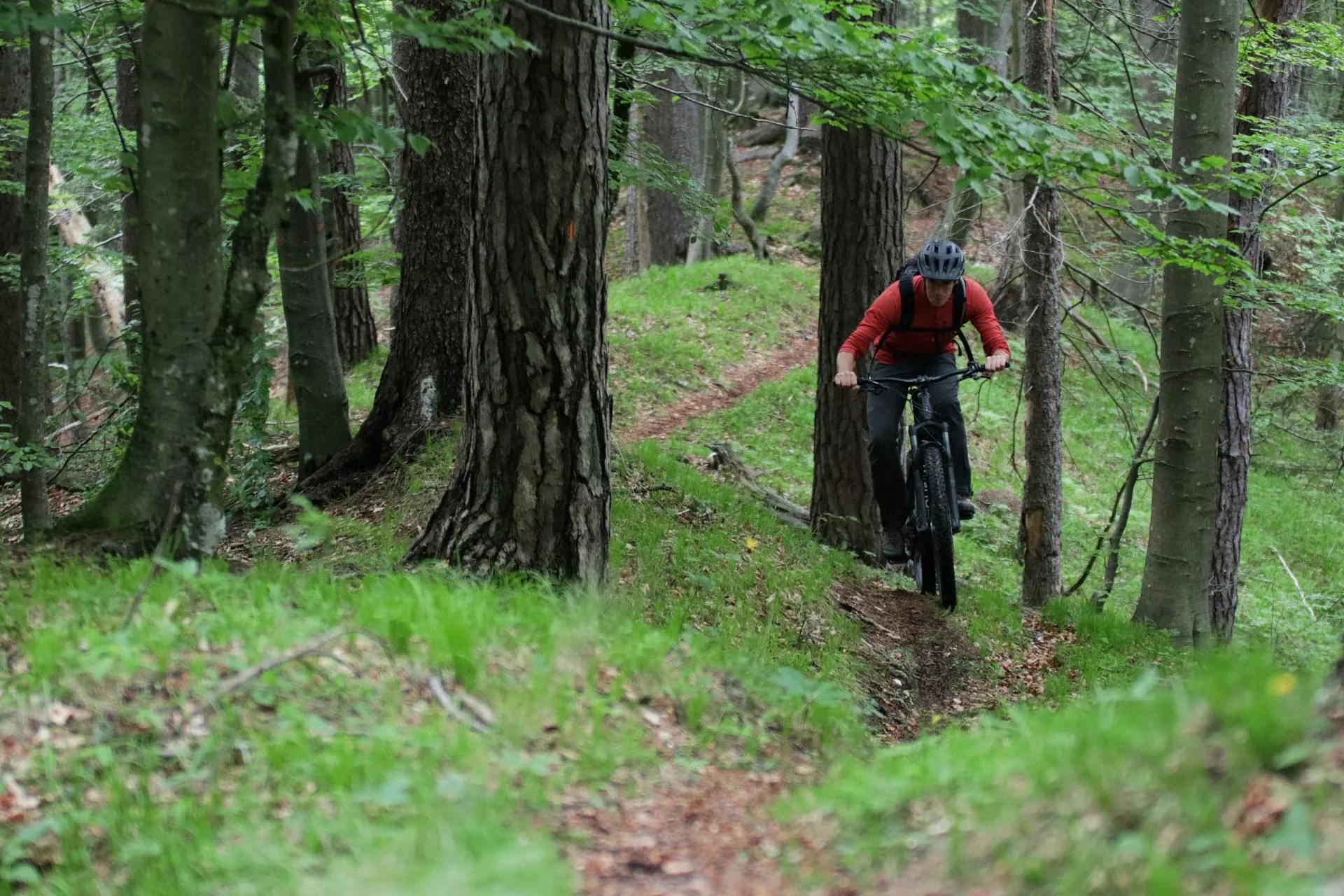 Technical trails around Kranjska Gora